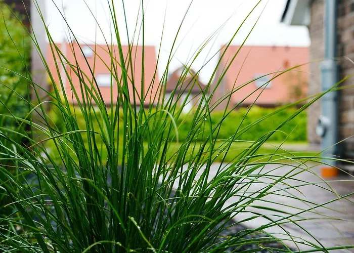 Haus Ankerhuus 2a - Carolinensiel * 维特蒙德